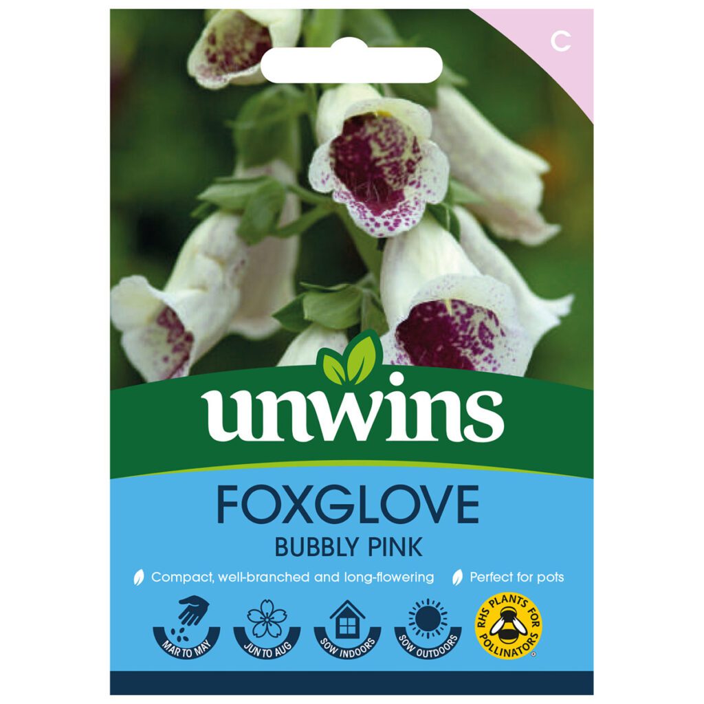 Unwins Foxglove Bubbly Pink F1 Seeds 5051618025072 2